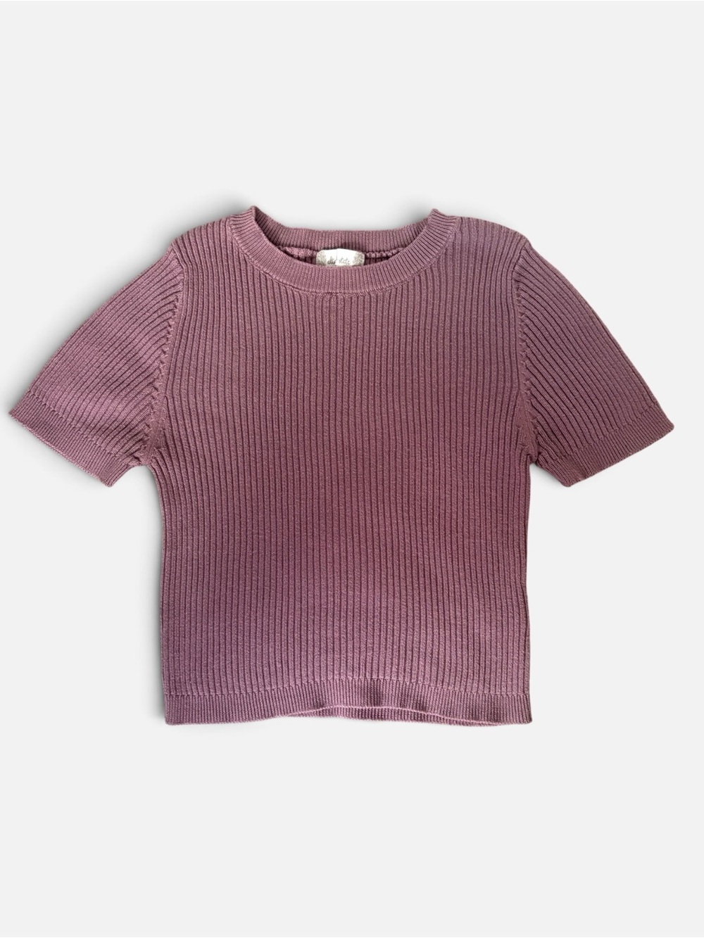 Altar'd State Mauve Ribbed Short Sleeve Knit Top